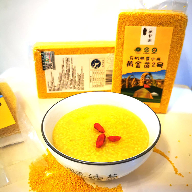内蒙赤峰有机胚芽黄金苗2号小米