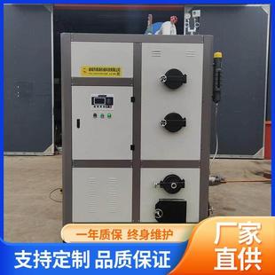 瑞涛生物质蒸汽发生器加工板材用蒸汽炉混凝土养护全自动蒸汽锅炉