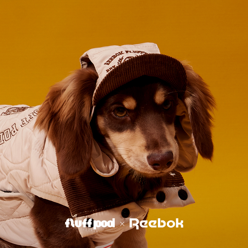 Reebok锐步宠物飞行员帽狗狗帽子