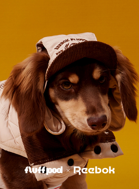Reebok x fluff pod联名宠物狗狗飞行员帽腊肠西高地中小型犬帽子