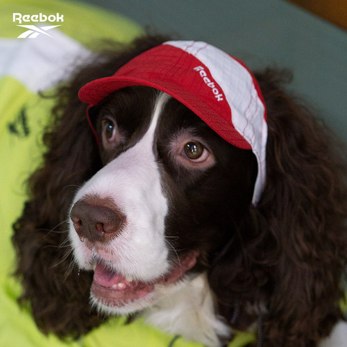 Reebok锐步狗狗复古露耳棒球帽