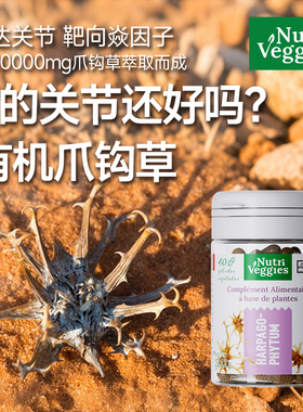 【清仓】法国NV纽唯仕成人关节疼痛护关节有机爪钩草膝盖27.1到期