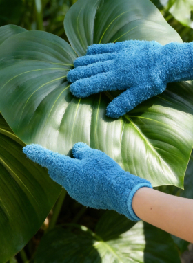 擦叶片手套除尘工具清洁光亮抹灰蔓绿绒龟背竹叶片清理园艺工具