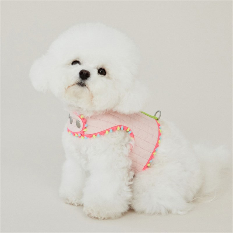 速发mory Pet猫狗外出撞色小圆点双面胸背