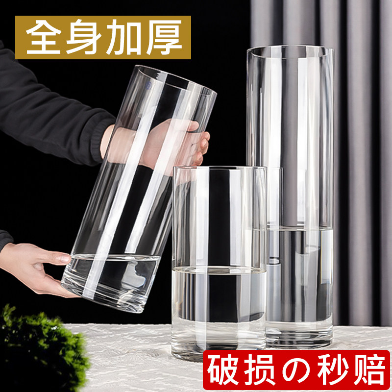 速发水瓶玻璃厅明花养插花客透摆件水培马醉木富贵竹专用轻奢直筒
