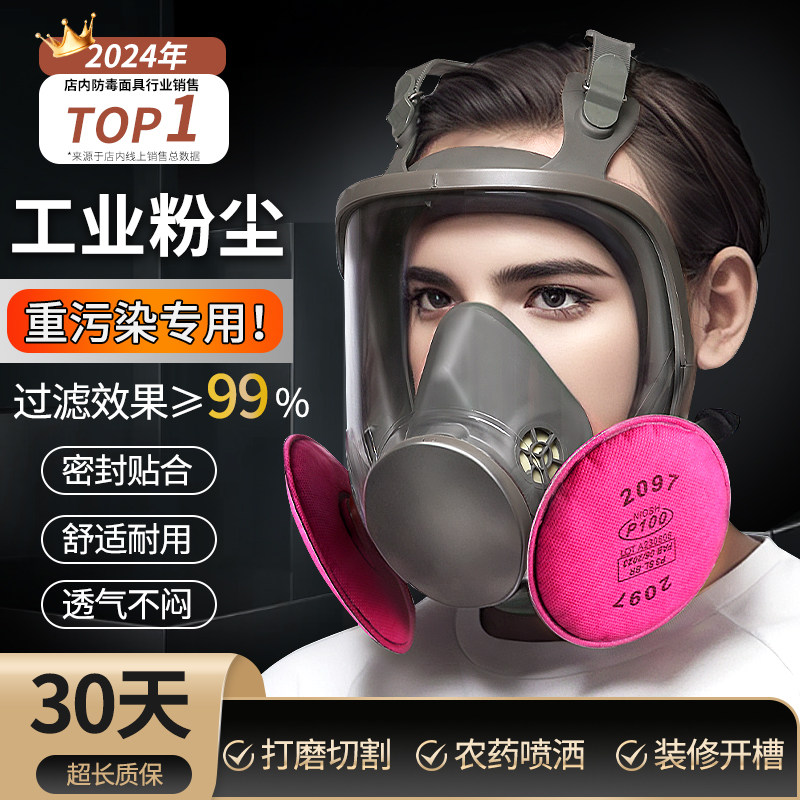 速发P100201/207活性炭防尘全脸面罩防毒面具全面罩防灰尘