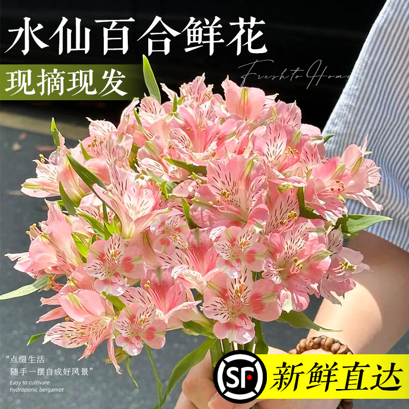 速发水仙百合六出花鲜切花用插花材家卉水养水培多头插瓶花初六束