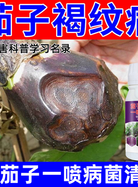 茄子病害药茄子病菌清叶枯病黄萎病炭疽病灰霉病白粉病杀菌防病