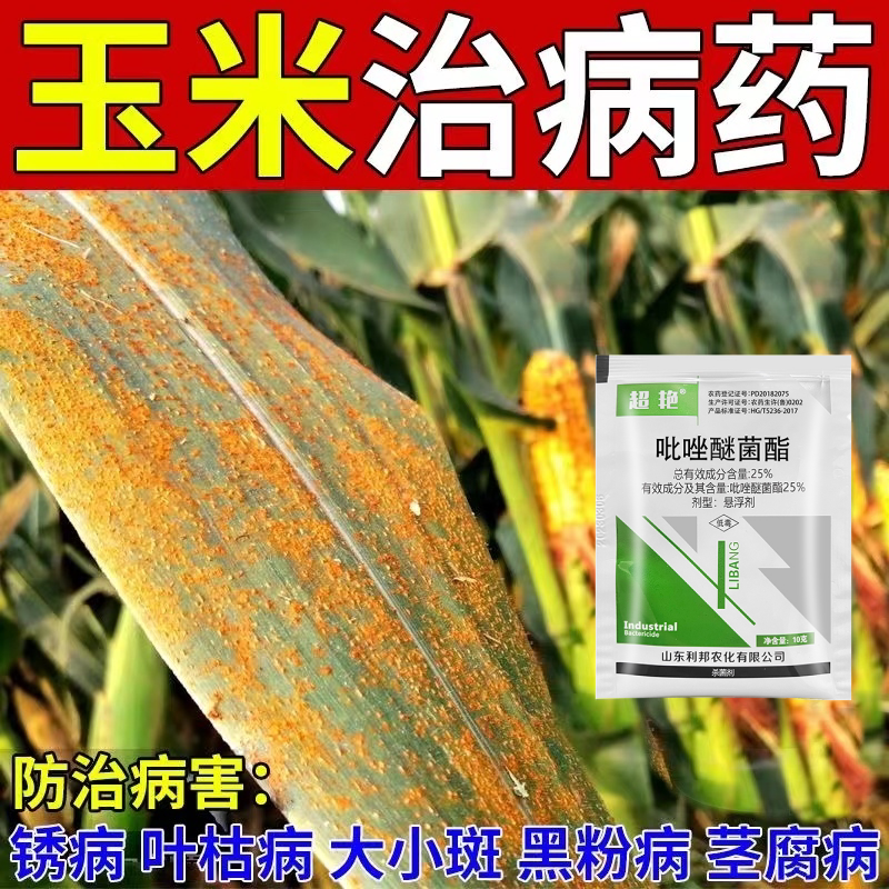 玉米病专用杀菌剂玉米锈病卷叶纹枯病叶斑病褐斑病基腐病农用杀菌