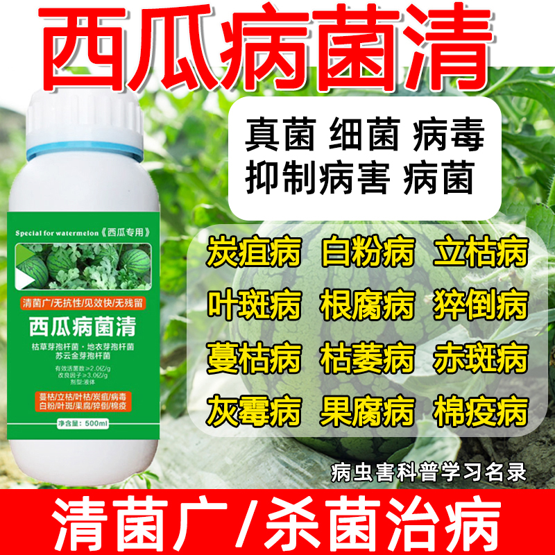 西瓜治病药甜瓜哈密瓜蔓枯病枯萎病青枯黄叶炭疽病专用正品杀菌剂