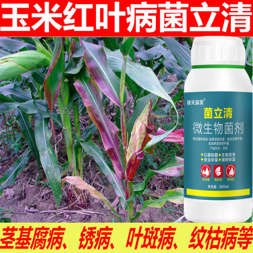 玉米杀菌药玉米红叶病叶斑病锈病纹枯病黑穗病茎基腐病玉米杀菌剂