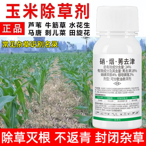 玉米除草剂玉米地苗后除草剂