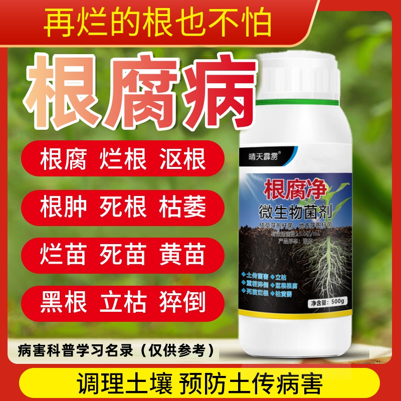 瓜果蔬菜死根烂苗根腐沤根猝倒枯萎根腐灵