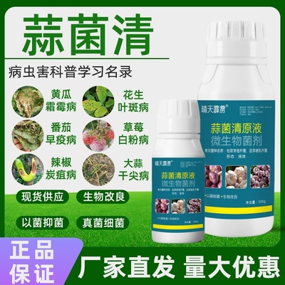 蒜菌清原液大蒜黄叶干尖杀菌药