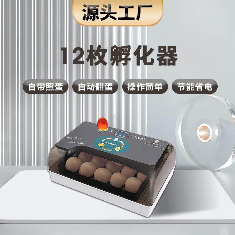 工厂直供12枚微型智能鸡蛋孵化器跨境家用照蛋养殖种蛋孵蛋机,畜牧/养殖物资,特种养殖设备,淘宝优惠券,粉丝福利购,淘宝优惠卷