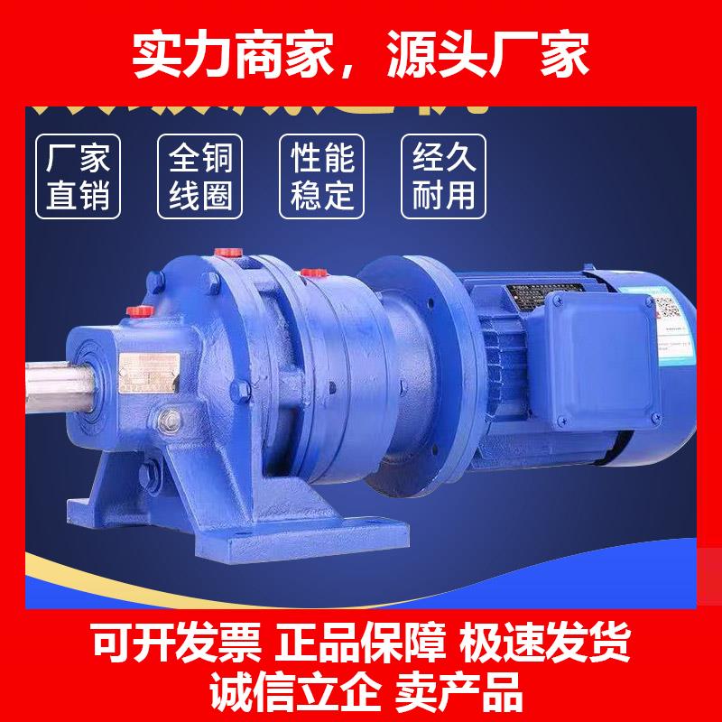 新款双极摆线针轮减速机三相380V搅拌纯铜芯游乐场低速马达