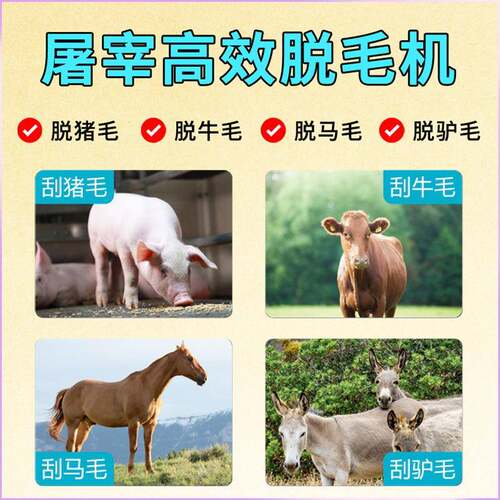 脱毛杀猪毛电毛动刮去屠宰脱机退DOF毛牛猪杀屠宰家禽