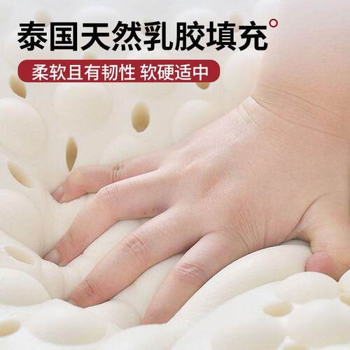乳胶床室垫学生宿舍单人垫家用卧海软垫绵被床BCS褥子租房专用榻