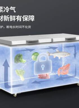 商39大容量卧式柜冰柜冰箱家用冷藏柜保用鲜式冷冻全铜管商用卧速