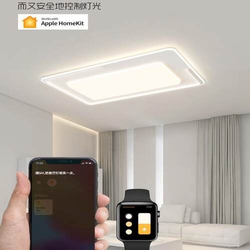 全网通智能灯具组代合全套奶屋装834极简油风客厅灯简约现护眼吸