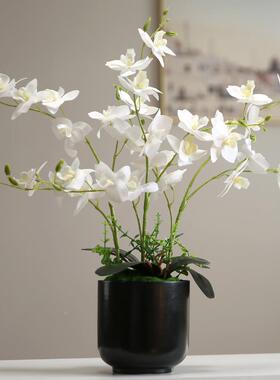 真仿花蝴蝶兰奢现代家居内客厅餐室厅装饰轻花摆设2023蝴蝶电视柜