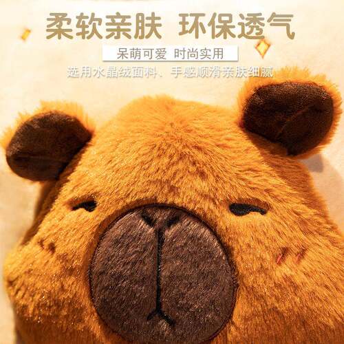 水豚枕抱枕被子两QAA77720用加厚办公室折叠车二午睡枕头毯子合一