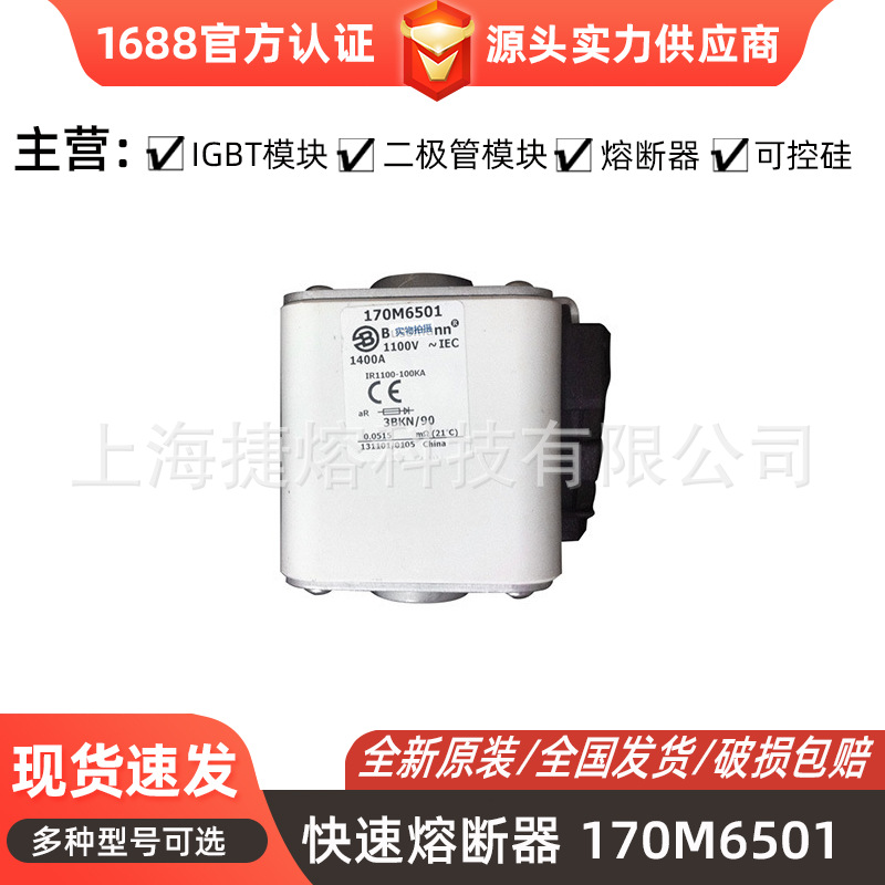 170M6501 170M6540 快速熔断器  保险丝 电子元器件 量大价优