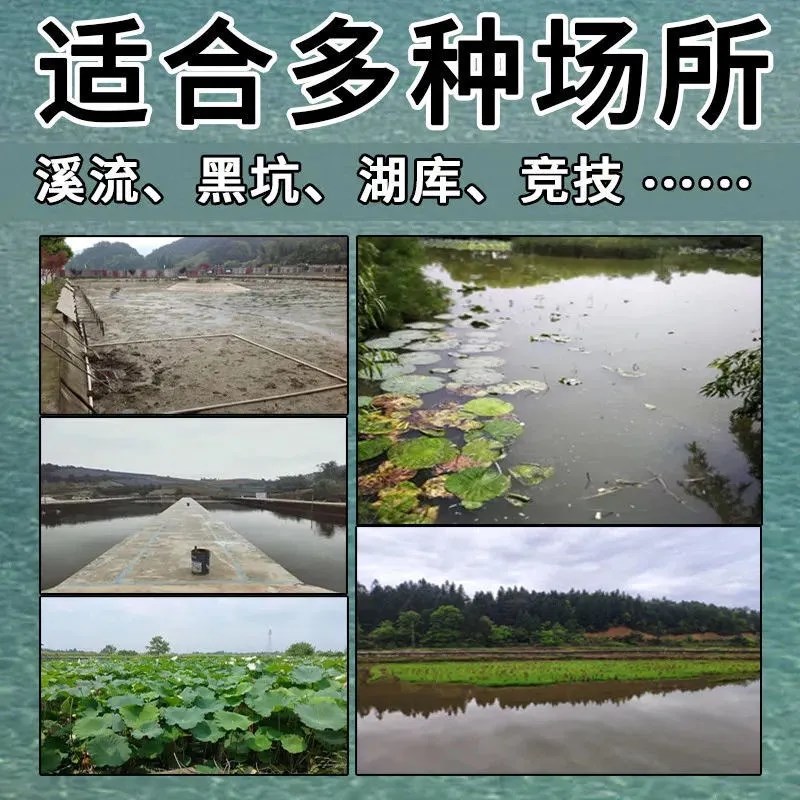 甲鱼小药诱聚剂特效钓老鳖饵料抓乌龟诱饵药水野钓黑坑.专用甲鱼