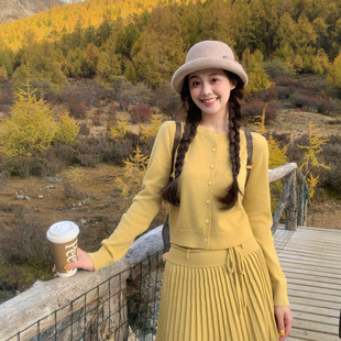 赵幺妹 温柔缱绻 软糯亲肤百搭针织开衫百褶半裙两件套套装女冬