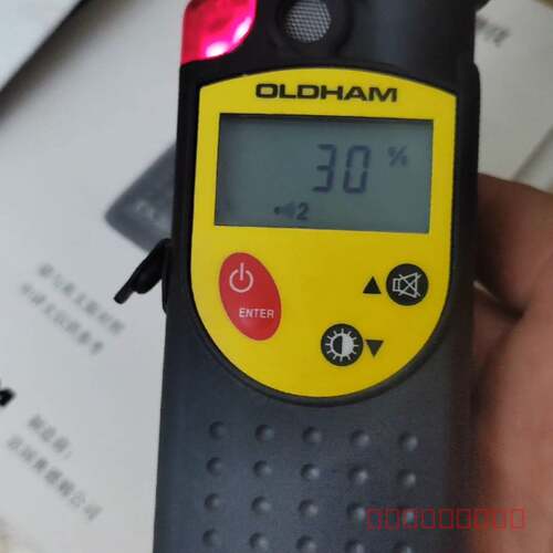 议价OLDHAM(奥德姆) EX2000可燃气体检仪
