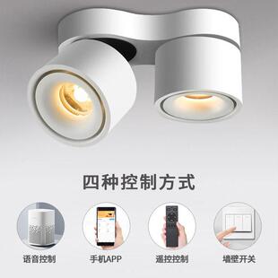 明装射灯家用客厅无主灯双头四头折叠可调角度商用小山丘筒灯射灯