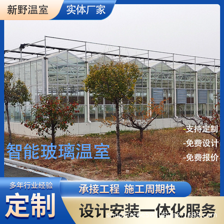 玻璃大棚钢架骨架源头生产厂家蔬菜种植连栋温室热浸锌材质钢管