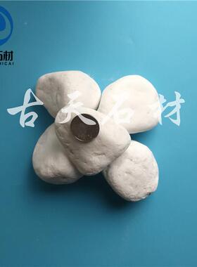 鱼缸花盆养花用用白色鹅石园林艺白鹅卵石白石子3卵-5无品牌/c园m