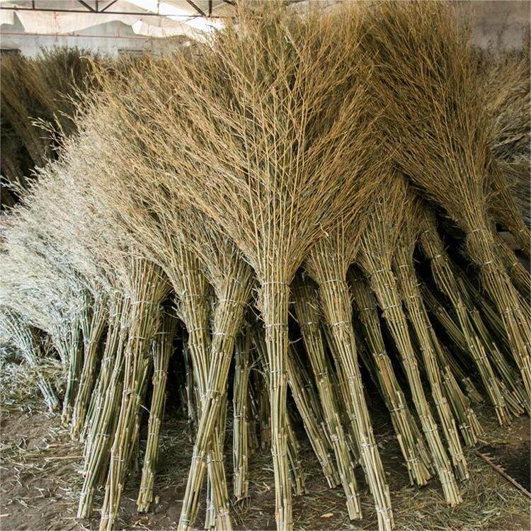 大扫把环卫工人专用厂家竹子工地用大扫帚清洁竹扫帚工人用