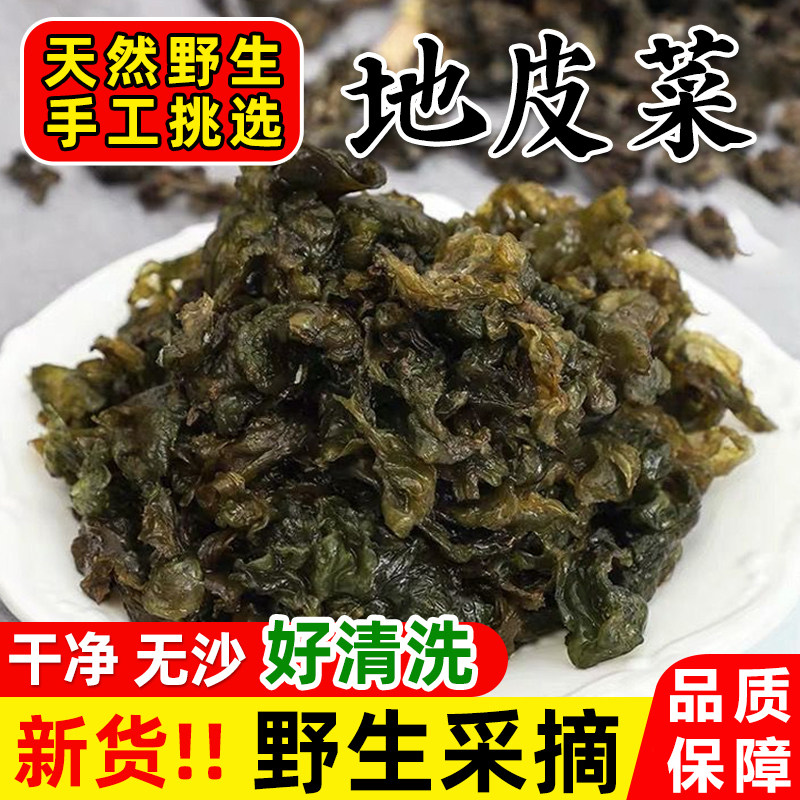 地皮菜新鲜干货甘肃特产野生地软地木耳非免洗地衣菜炒野菜蒸包子