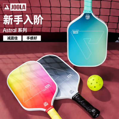 JOOLA尤拉匹克球初学进阶