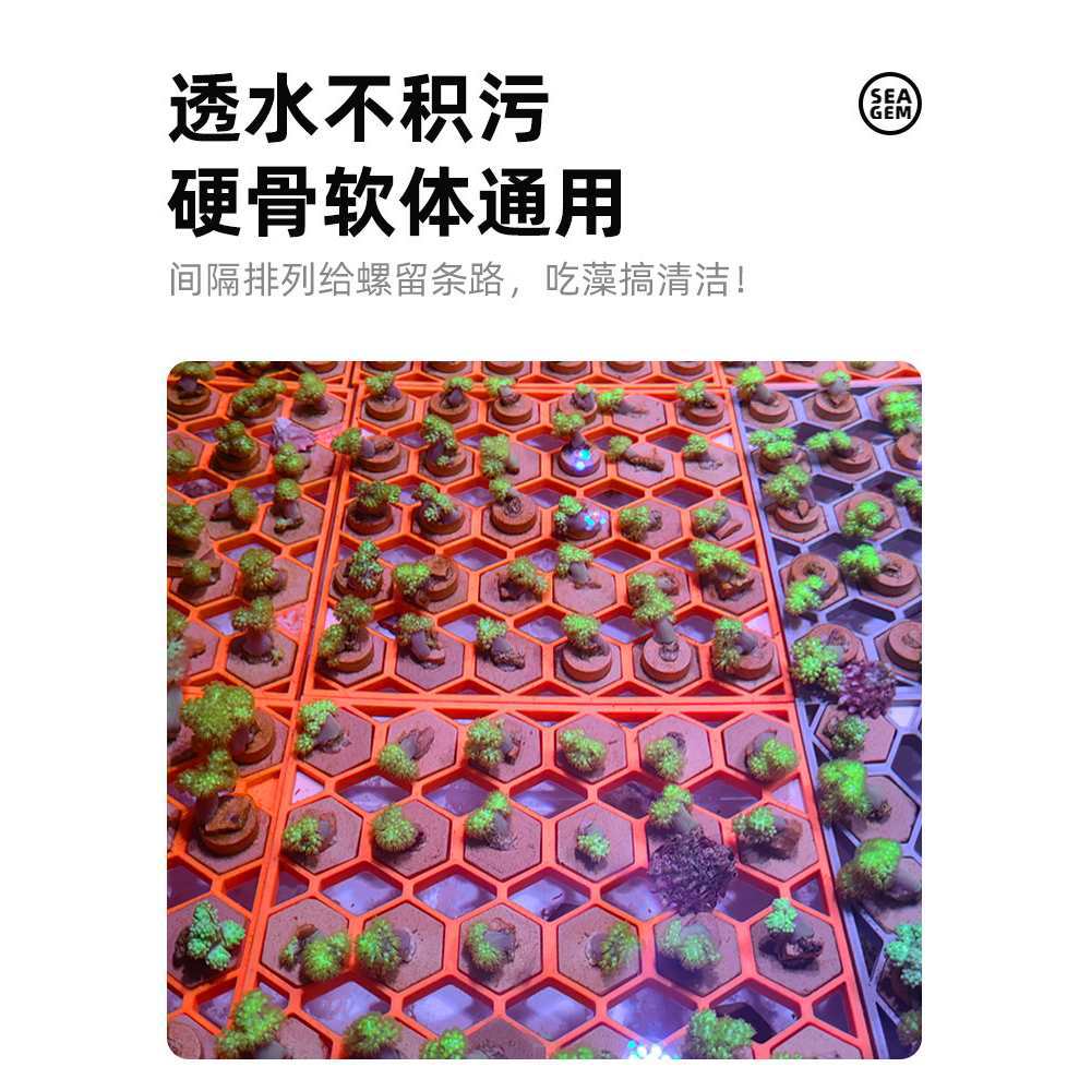 海缸造景珊瑚繁殖支架基座海缸荧光断肢断枝繁殖架托架海水缸