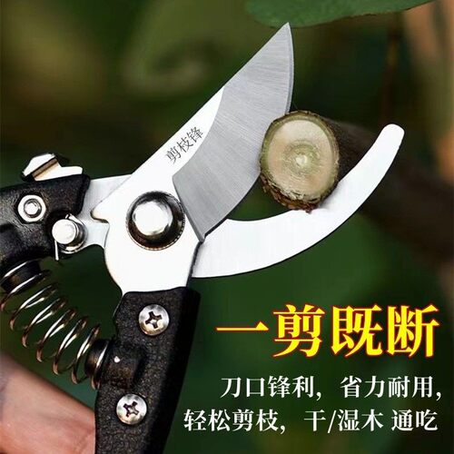 果树省力树枝修剪刀园艺剪园林剪刀修枝剪粗枝剪修剪树枝神器
