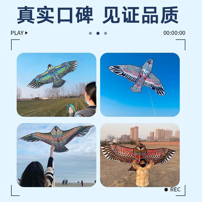 盘风筝风筝大人专用鹰老鹰田园吓鸟鸟防驱鸟儿童卡户外通LYFZ-01