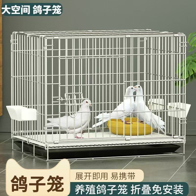 养殖繁殖笼赛鸽公棚白羽金属鸽笼鸽子笼折叠养殖笼室内新款带隔断