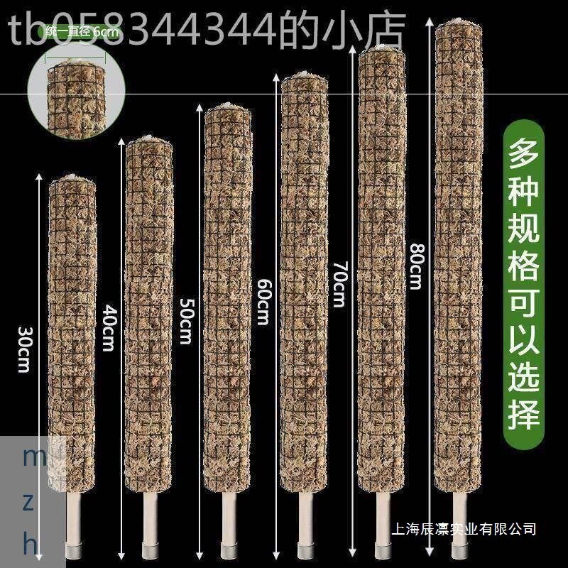 水苔柱棒攀爬白锦花叶龟背竹支架植物立杆蔓绿绒爬藤定型专用棕c