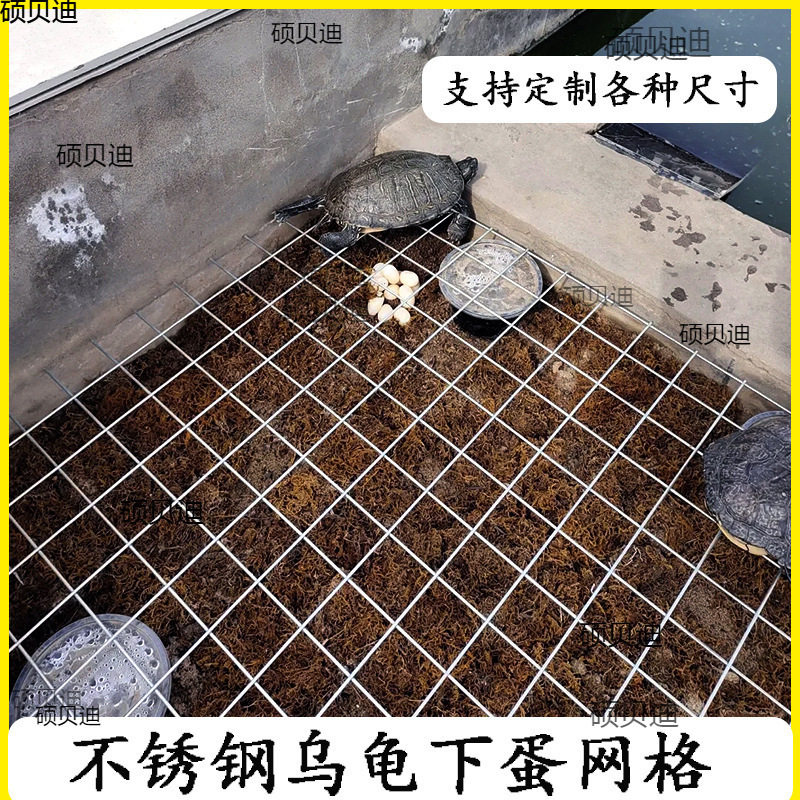 乌龟下蛋网格产蛋池网格