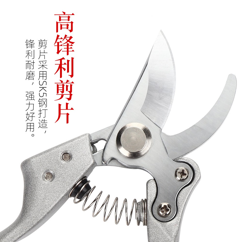 直修枝家剪 花艺V9园林果树剪刀 多功能盆栽造型摘厂果树剪销高枝