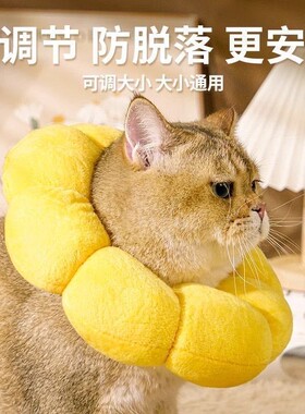 圈猫防咪项圈伊丽莎白圈柔软软头套耐用伊舔利沙KIO白脖绝育用品