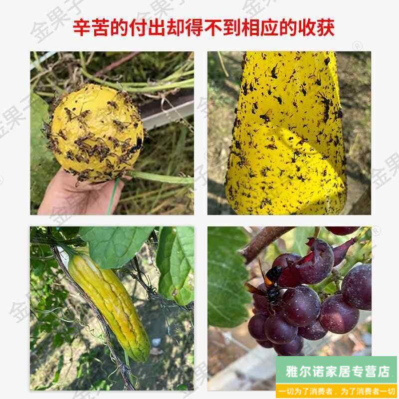 速发长丝瓜网眼套袋黄瓜青瓜苦瓜套袋专用袋防虫袋保护套瓜果水果