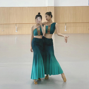 舞族服雀舞艺考服装 速发傣族舞蹈演出服装 练功裙表演孔傣裙服装