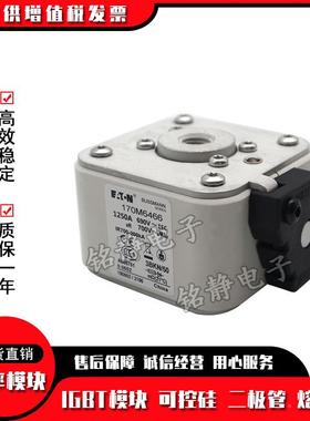 熔断器170M6308170M6309170MM63101706170M6308311170M6312170M63