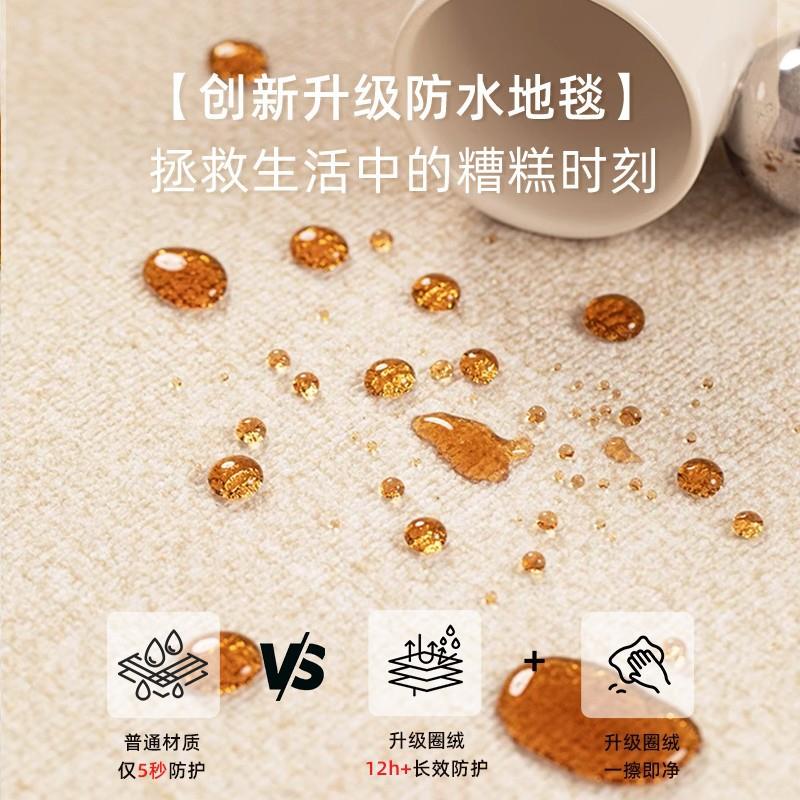 地毯客厅卧室2房02边5新款床免洗可擦间轻家用沙发防qr200820水防