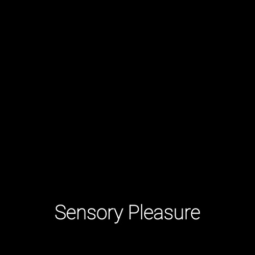 Sensory Pleasure 【顺丰运费】