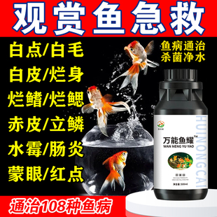 万能金鱼药观赏鱼专用药治疗鱼烂身烂尾白点白毛锦鲤鱼药消毒杀菌
